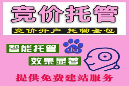 SEM推广代运营案例：实战攻略